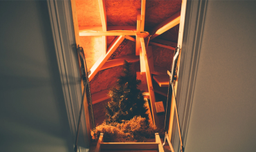 Loft Lighting
